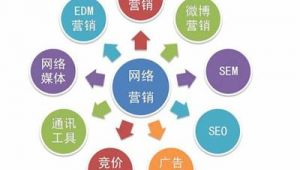 北京網(wǎng)絡(luò)推廣營(yíng)銷與網(wǎng)絡(luò)技術(shù)服務(wù) 數(shù)字化轉(zhuǎn)型中的雙翼驅(qū)動(dòng)