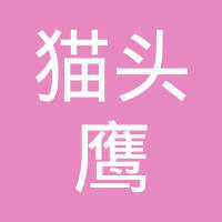 探秘貓頭鷹網(wǎng)絡(luò)科技 優(yōu)勢、業(yè)務(wù)與市場評價